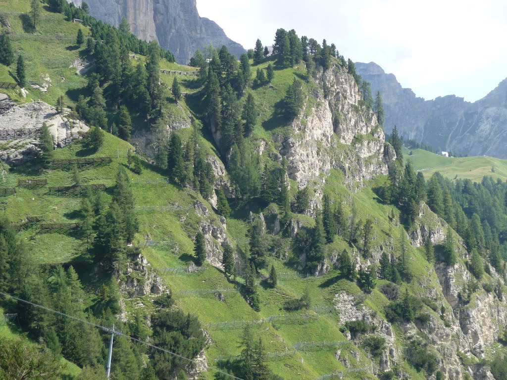 Alm beim Grödner Joch by bienenritter