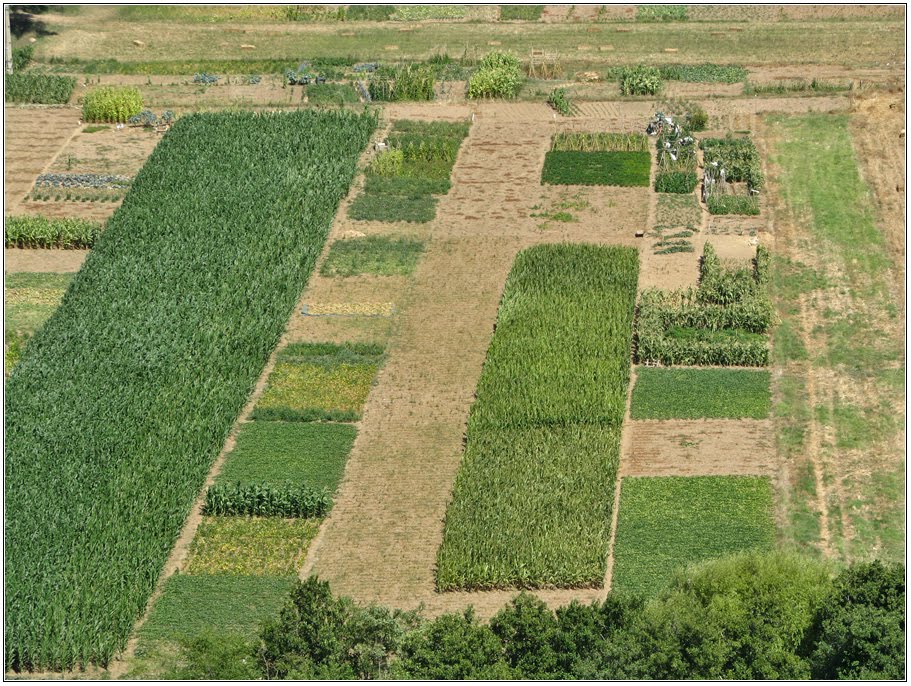 Campos Agrícolas na Ribeira de Aljezur by Barragon