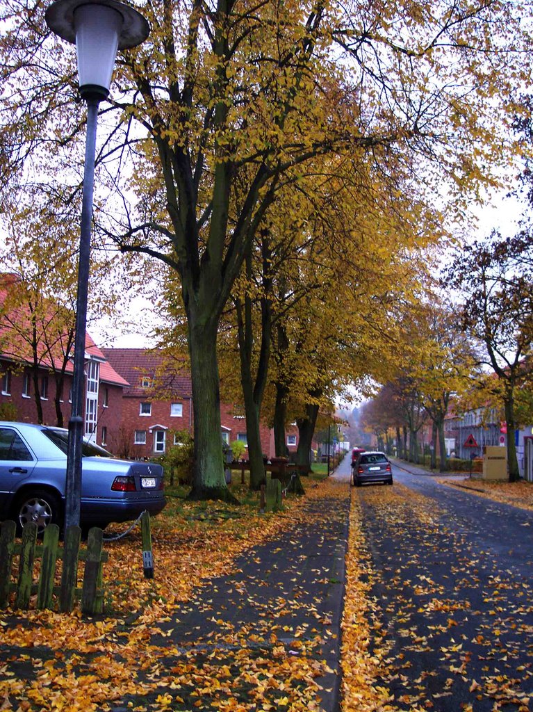 Bismarckstraße im Herbst by Paulaner79