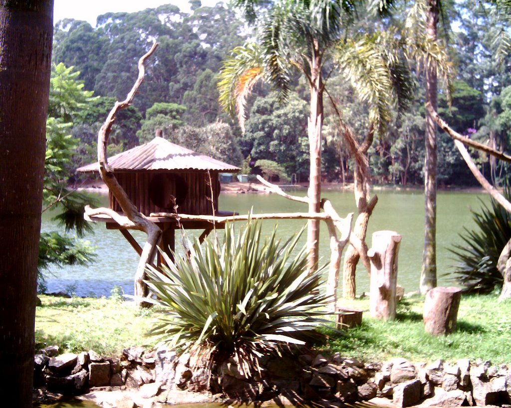 Zoológico de São Paulo - Ilha dos macacos by camilasantanna