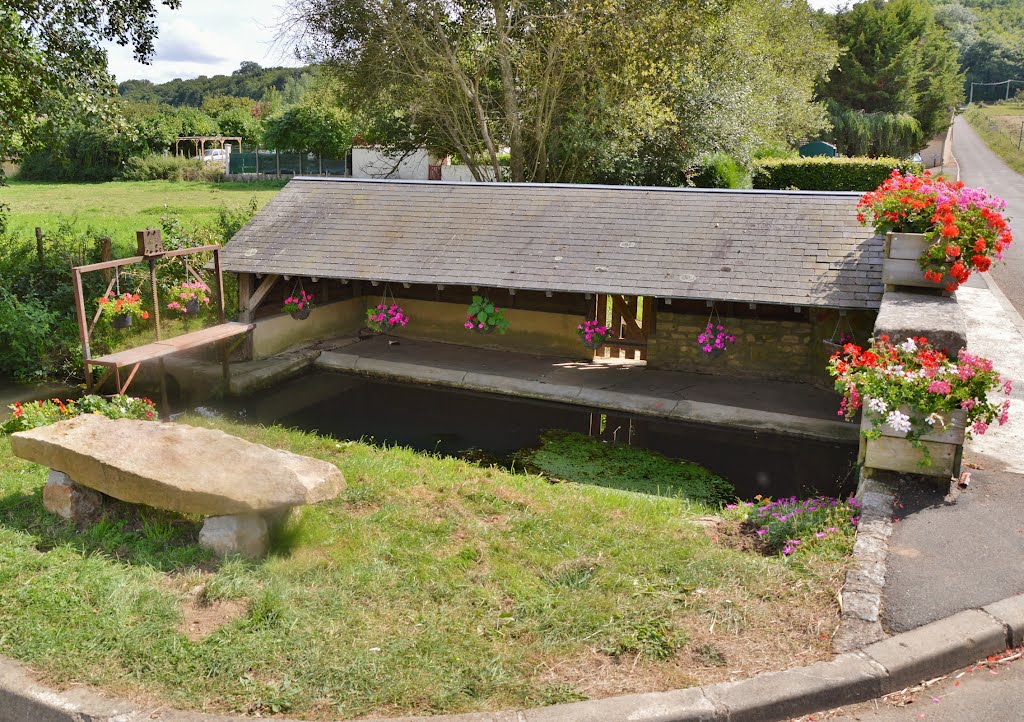 Le lavoir de St Aubin des Coudrais by zambetti salvatore