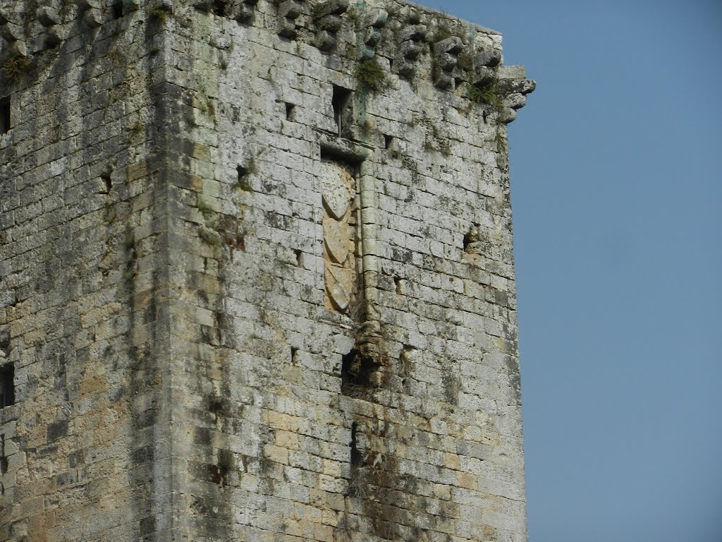 Torre di Sant'Eleuterio ( particolare ). by antoniopolselli