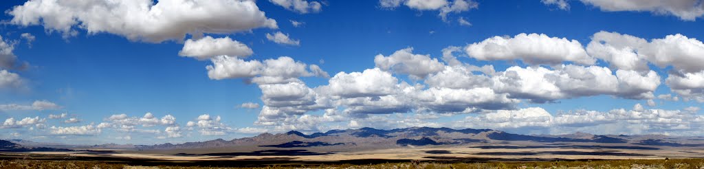 Mojave Desert by vmoleja