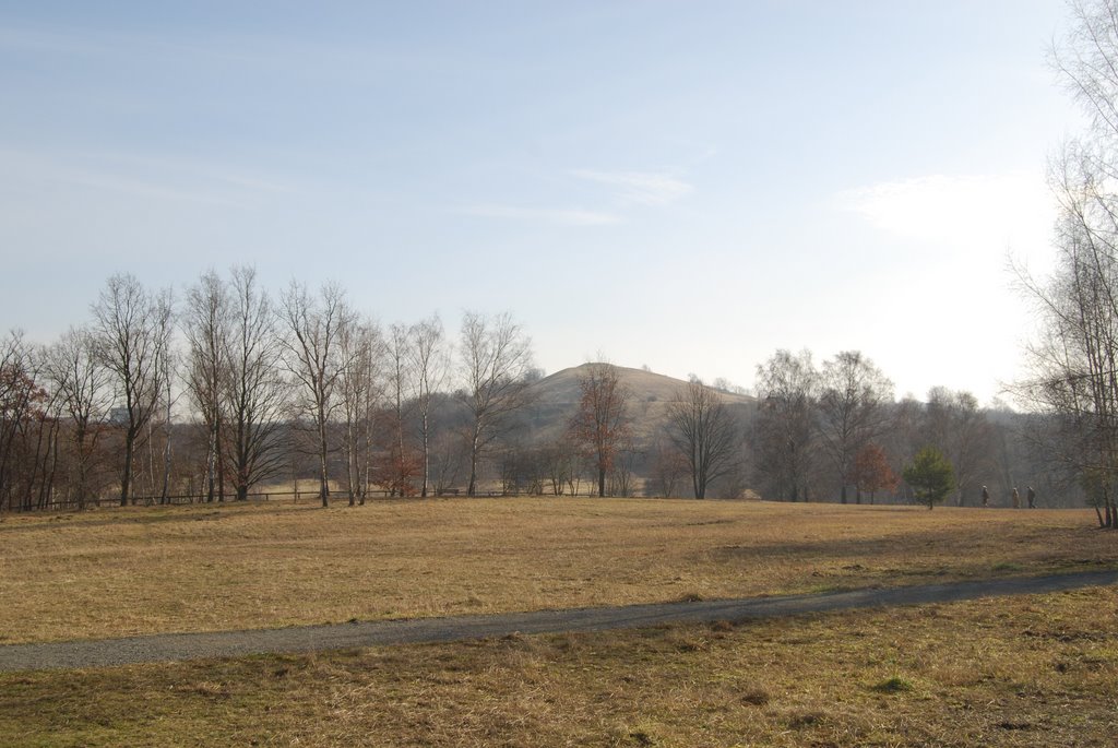 Blick auf den Hahneberg by Oliver Nordt