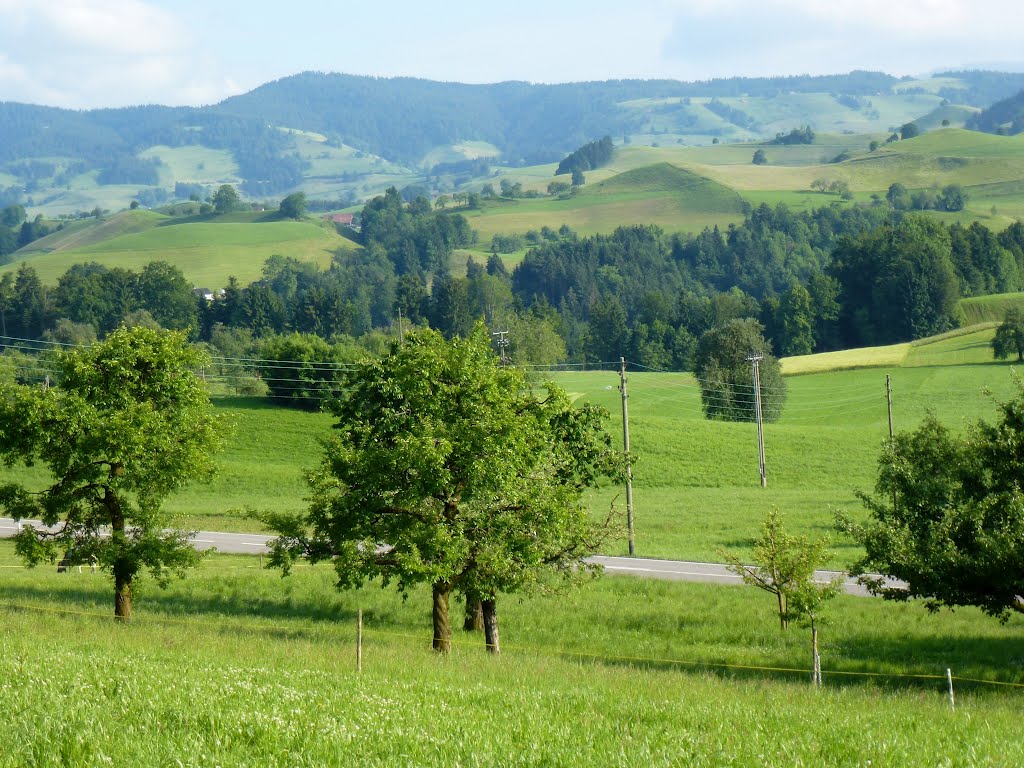 View to Menzingen (ZG) by Tony.56