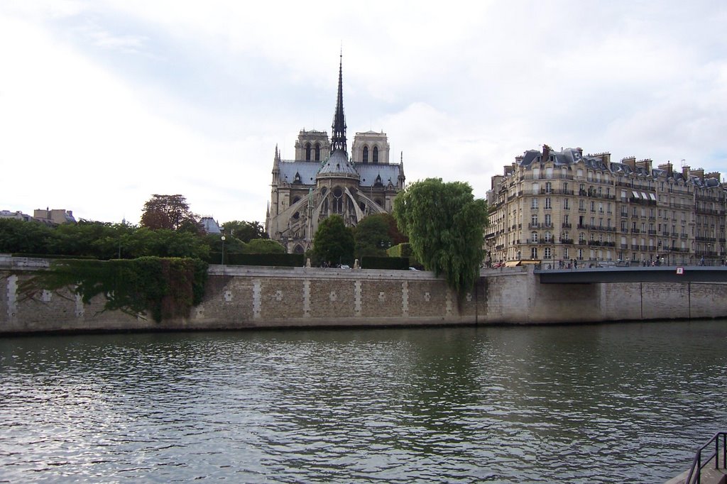 Notre dame vue est by Barroso françois