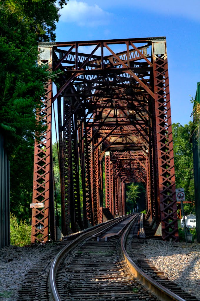 Bridge to South Carolina by Hank Myers