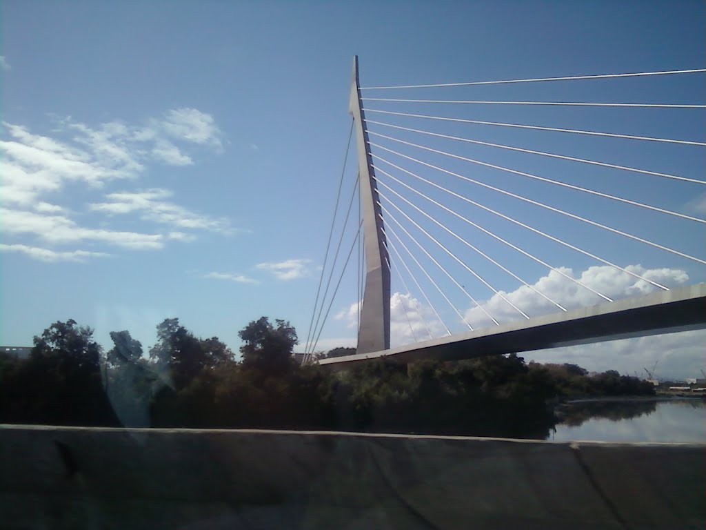 Ponte Estaiada do Fundão - Rio de Janeiro by lpersil