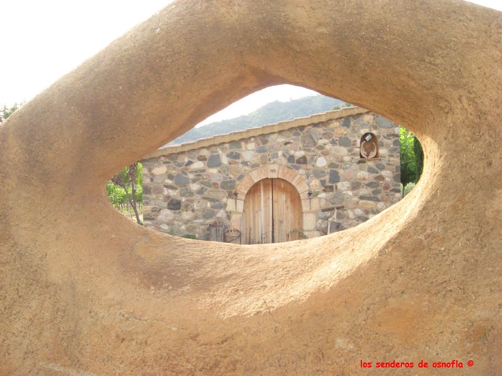 Bodega en Poboleda by Los senderos de osnofla