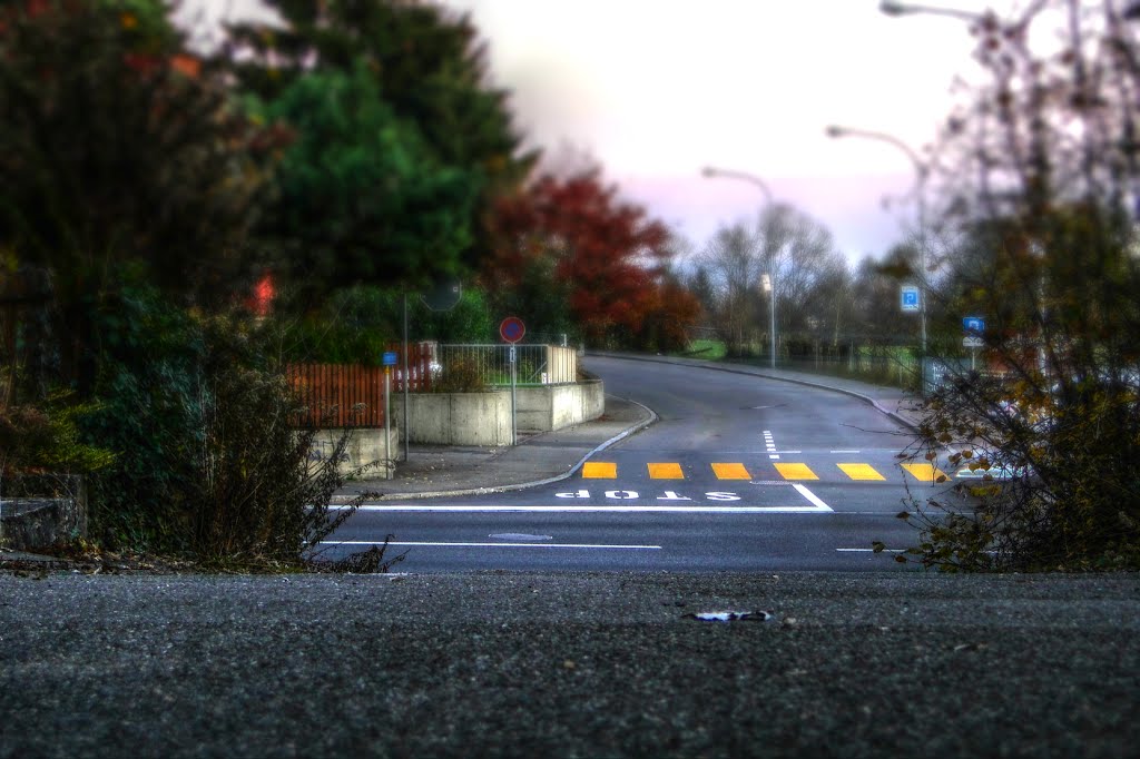 Unterengstringen 18.11.2011 tiltshift hdr by schilf