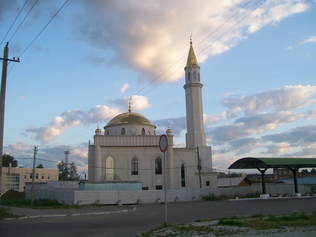 Новая мечеть / New mosque by Eduard Miroshnichenko