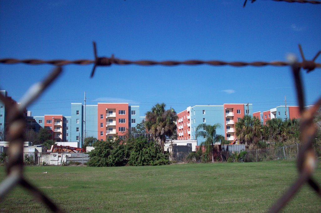 Channelside Dr. - Looking W by Joey Bee