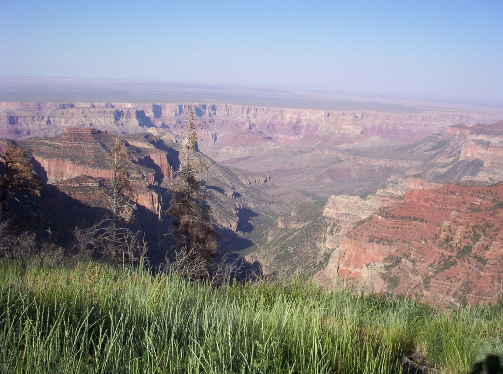 Grand Canyon NP - North Rim by sarti_family