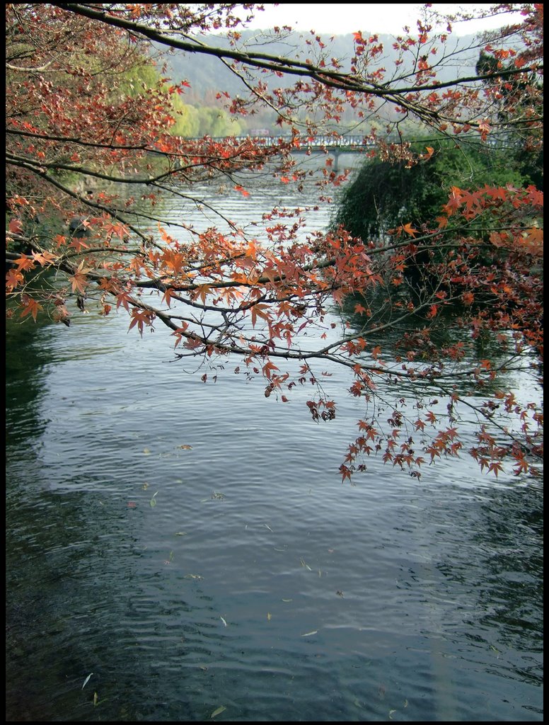 Hangzhou, West Lake by Saveriu Giacometti