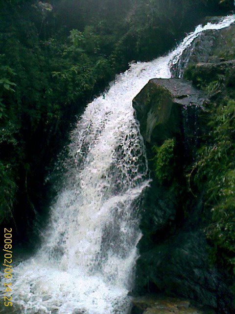 CACHOEIRA CAMINHO FAZ. SR. WILSON by MICROLARM