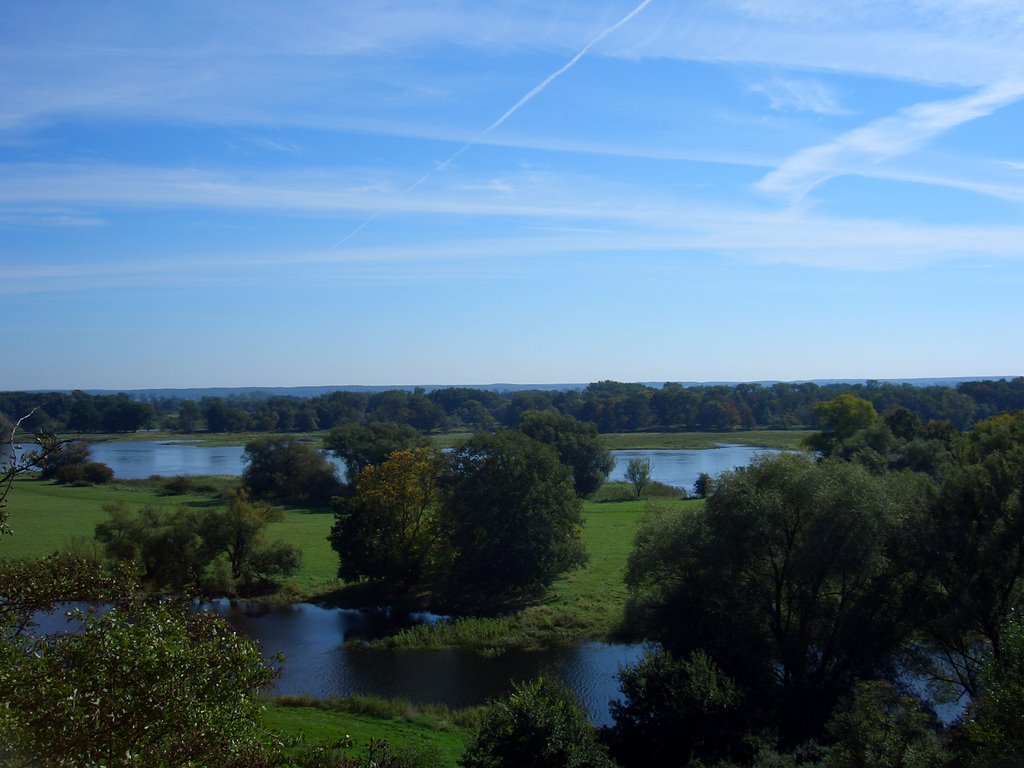 Oder bei Lebus by Birkholz