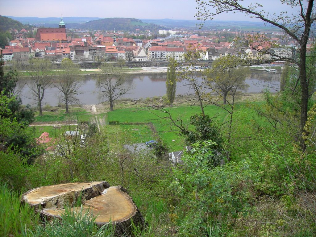 Pirna vom Ostufer der Elbe by Prof. Hennig