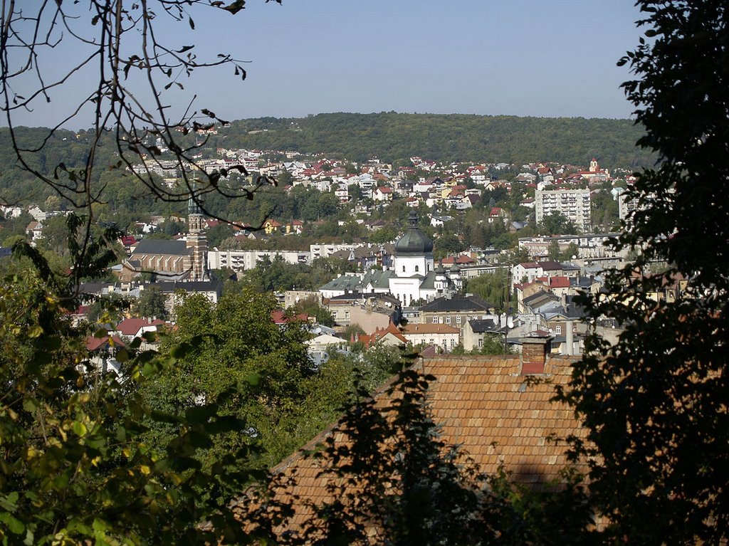 Przemyśl-panorama miasta by fotografik5