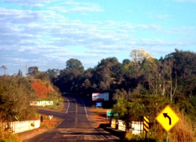 Chegando em Lucianopolis Um Ipê Amarelo - Tiburcio Jau by Luis Tiburcio-Jaú sp