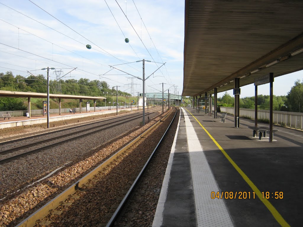 Gare du Creusot - TGV by GFRS1496