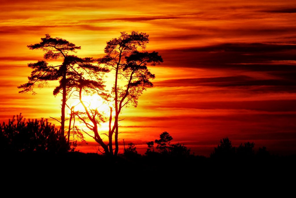 Sunset at Nationaal park De Hoge Veluwe by Marten Idema