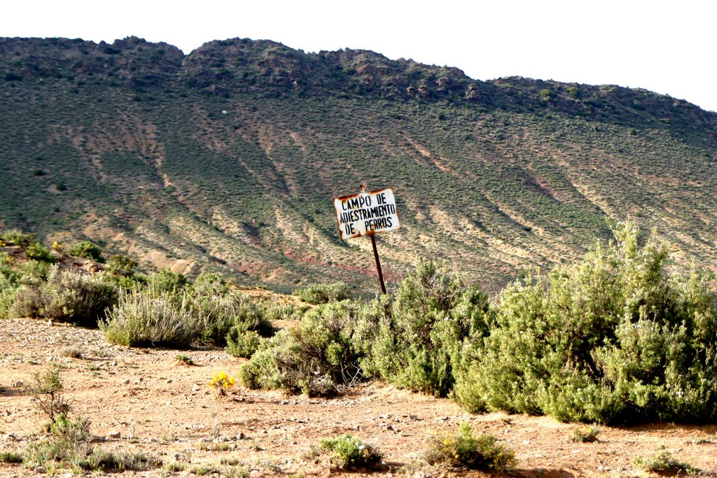 Camino de la Fuensanta. Villel. by Valentin Enrique Fer…