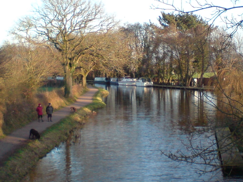 Tiverton Canal Boats by Dave j Marsh