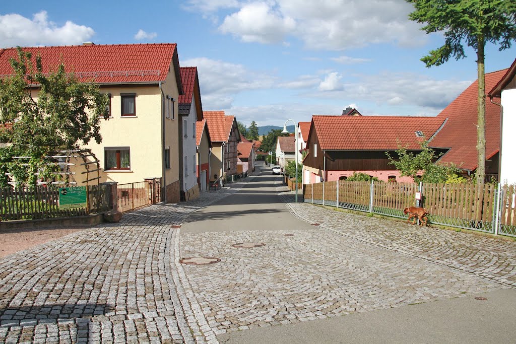 Übelroda Pleßstraße by ghifunk