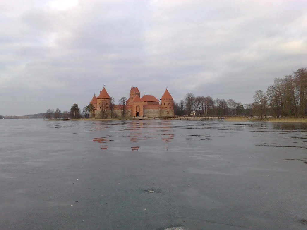 Castle in Trakai by Wyksztalciuch