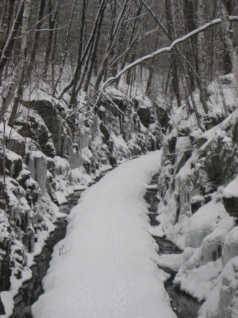 Rail Trail Gorge by Rutland Land Conservancy