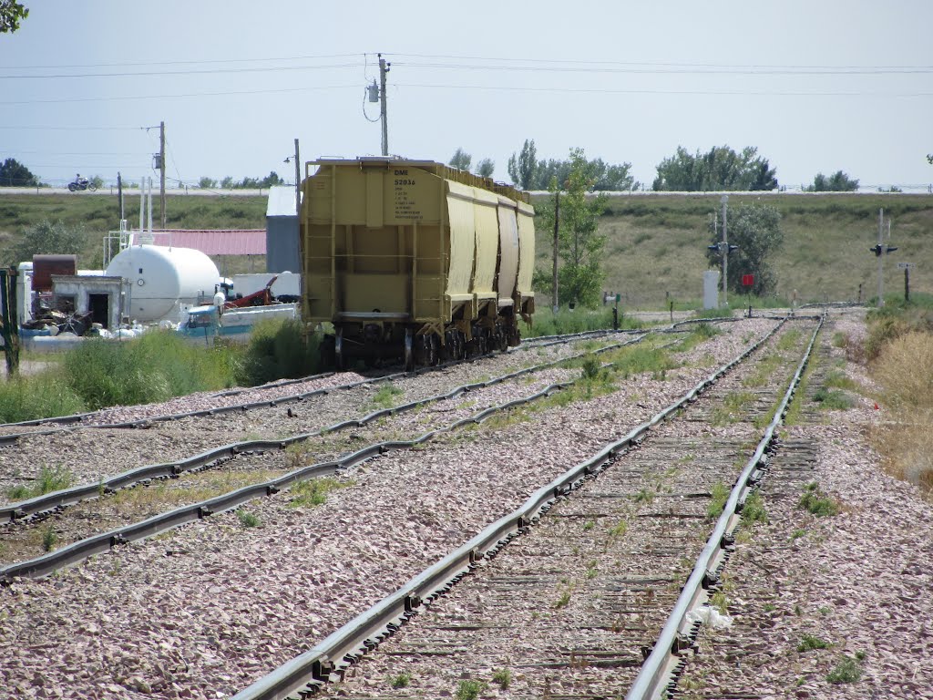 RR Tracks by Adam Elmquist