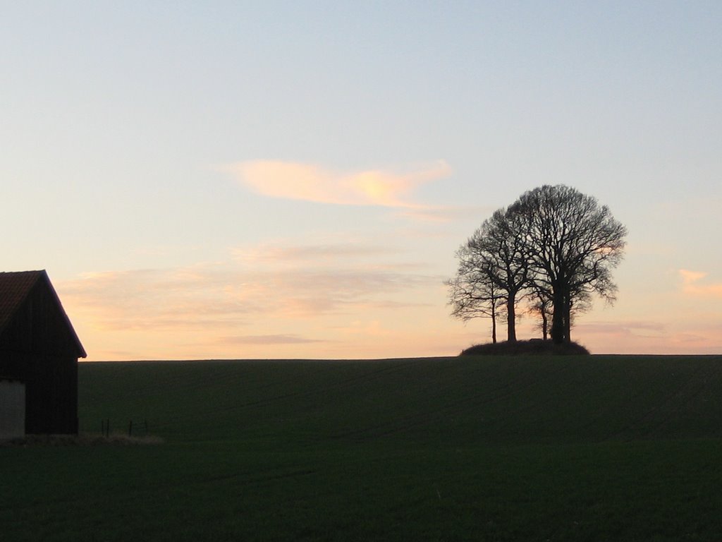 Barrow near großbrügkamp by Raúlgh