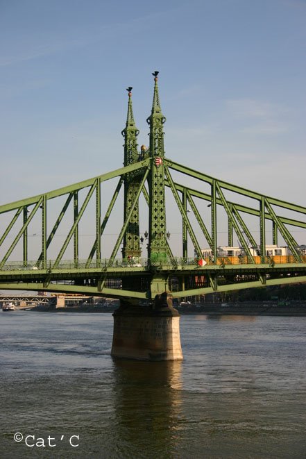 093 Budapest pont Szabadsag by Cathy Chevillot