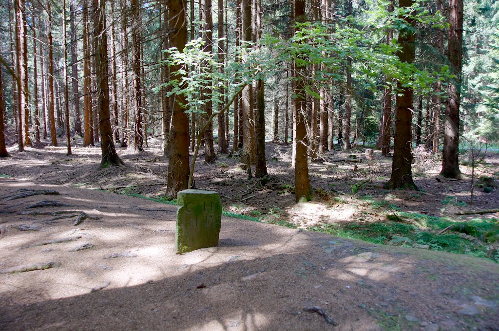 Grenzstein Kurfürstentum Hessen-Kassel/Großherzogtum Hessen-Darmstadt/Niedereschbacher Wald by Jürgen Düring