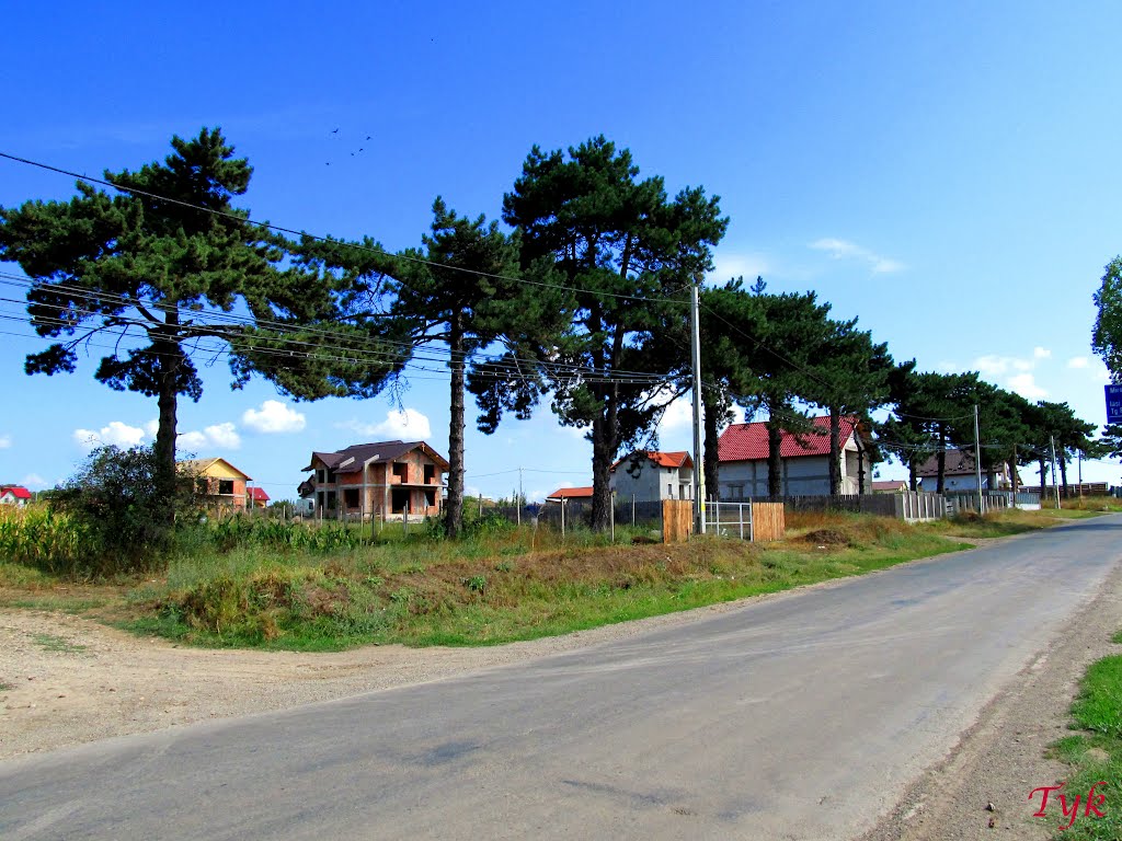 Valea Ursului (foto 2) by Dumitru Ciobanu