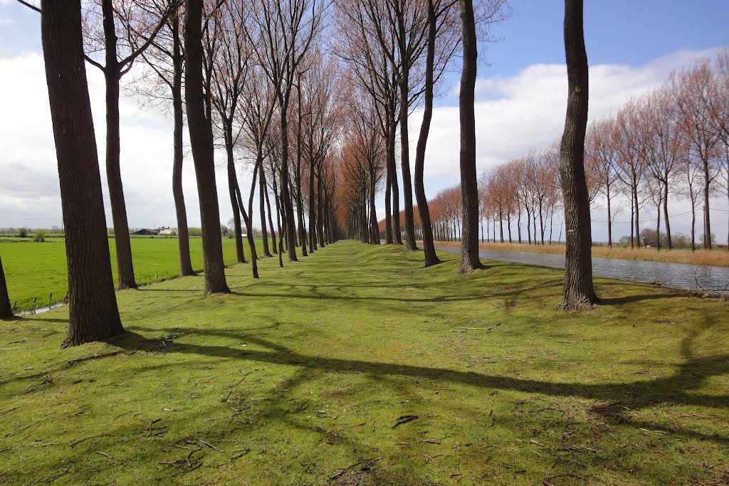 In zuidelijke richting langs het kanaal Damme-Sluis by Tjaart Molenkamp