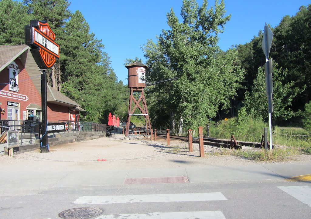 1880 Train, Black Hills Central Railroad by Adam Elmquist