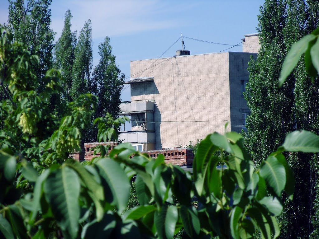 Вид на дома по улице 26 бакинских комиссаров / view on the houses on the 26 Baku commissars street by ManOnTheMoon