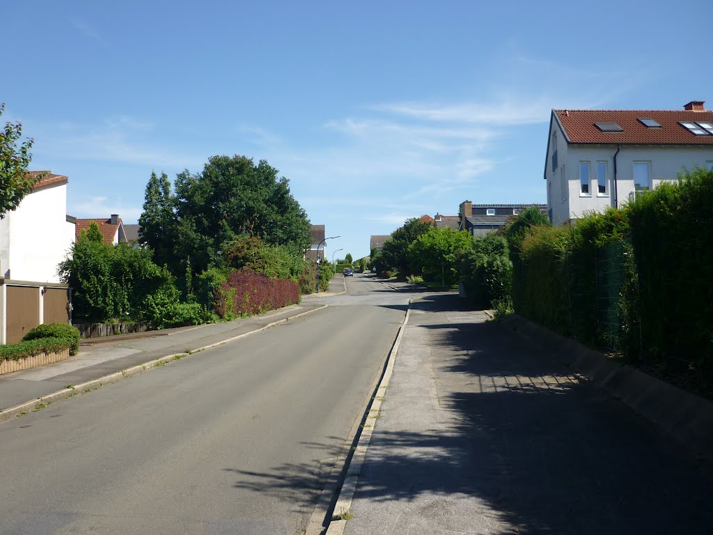 Reuterstr. (Holzwickede) / 23.07.2012 by Iceman93 / NO VIEWS!!!