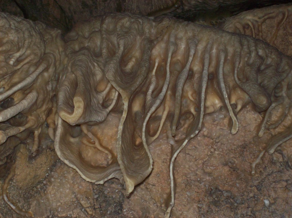 Caverna de las Brujas -Interior (foto: Frank Boore).- by Frank Boore