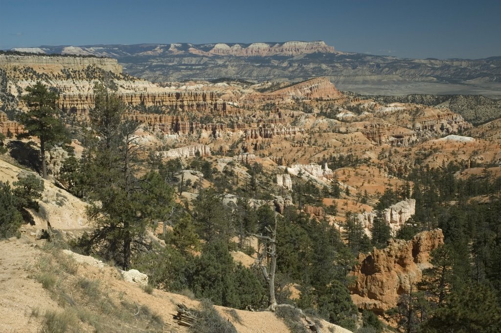 Sunrise Point, Bryce Canyon, Utah by kluke