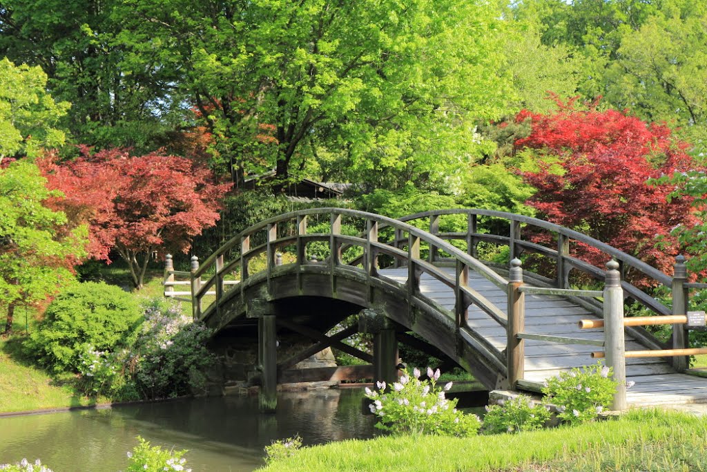 Bridge in Japanese Garden by Scott Rackers