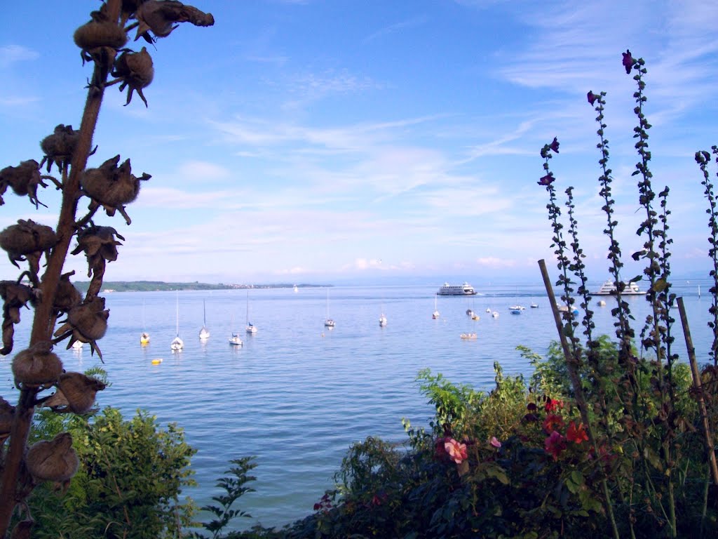 Radtour von Sipplingen nach Konstanz am Bodensee by Dachsbracke