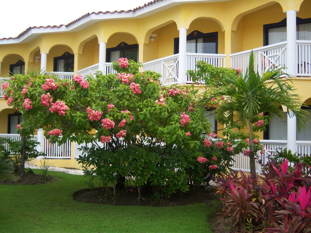 Lifestyles Hacienda Tropical - Puerto Plata, Dominican Republic by dadlak