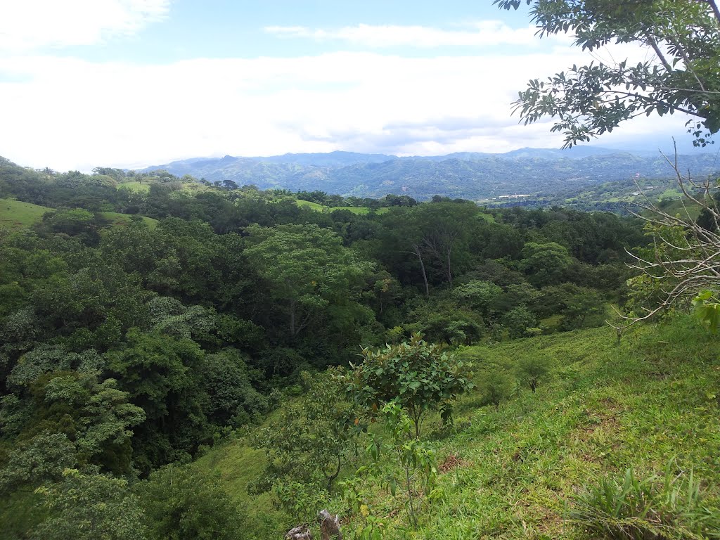 Bosques y Montes Aguacate/Forests and Aguacate Mounts by latforum