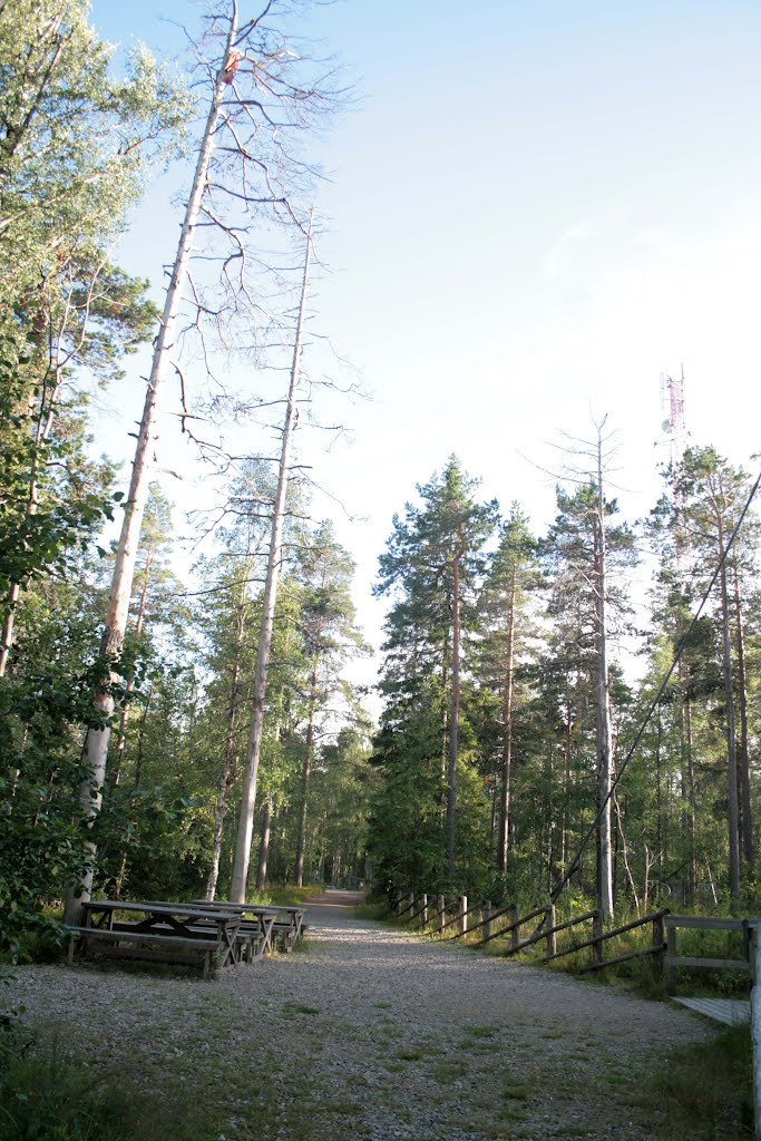 Isojoki And Kauhajoki, Lauhavuori National Park, Top Of Hill Lauhavuori, 1 August 2012 by Johanan Järvinen