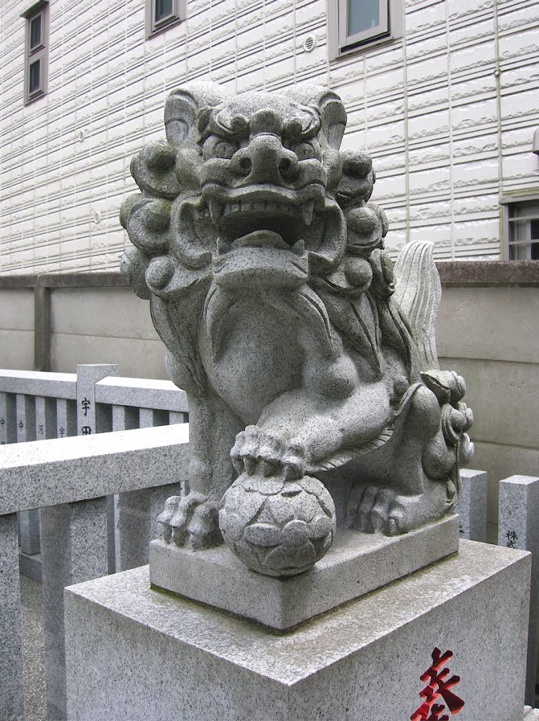 荻窪白山神社・狛犬 (Ogikubo Hakusan shrine, gurdian dog) by yossy