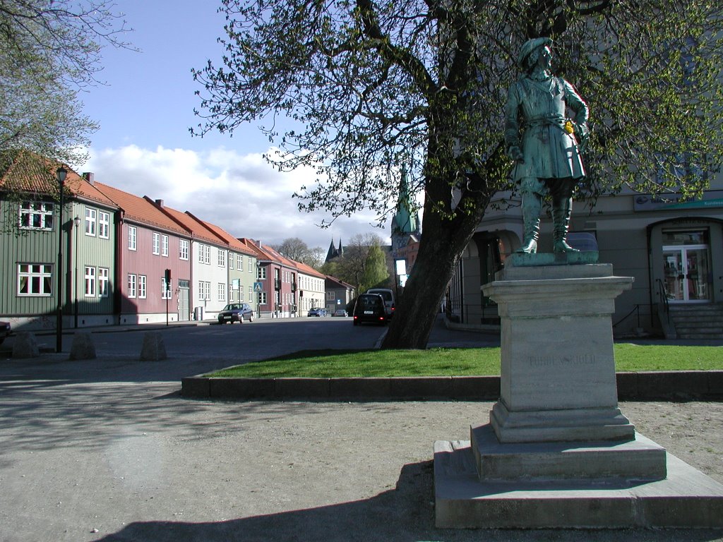 Peter Wessel Tordenskiold by Frode Andrew Selvik