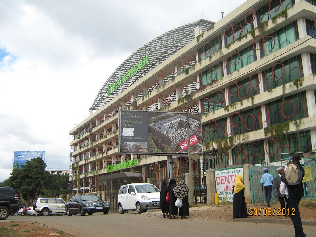 Green House by George Auma