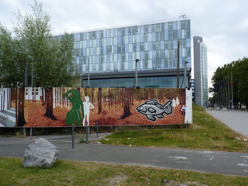 Lille - Fish Graff Boulevard des Cités Unies (2012) by greg-007